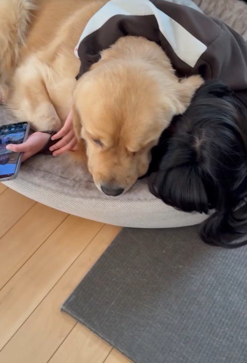 ずっとそばにいてくれました♡