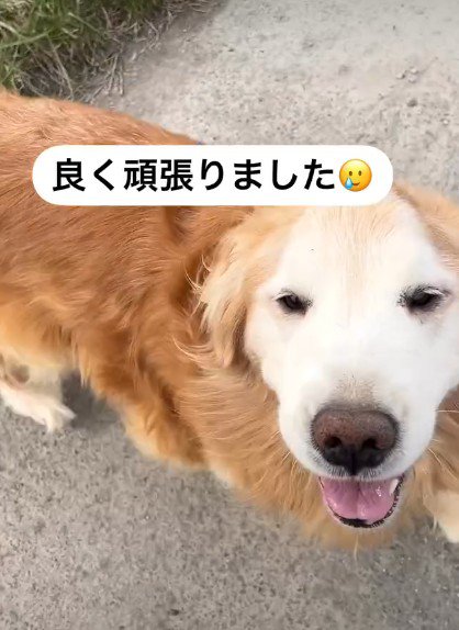 お留守番がんばったね♪