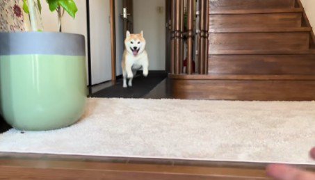 家族が帰宅したとき