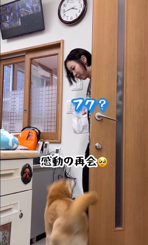 元シッターさんが登場