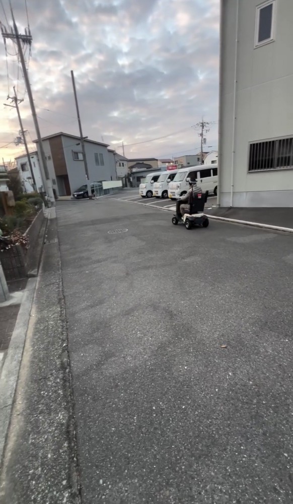 遠ざかっていくシニアカーを見つめる犬