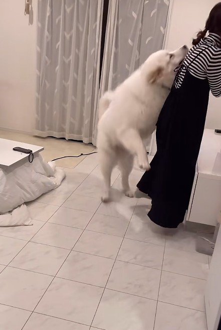 渾身のタックル！！