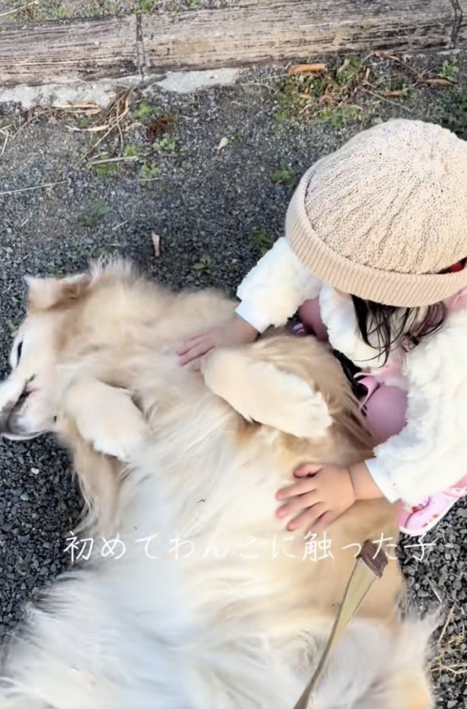 思わずほっこり