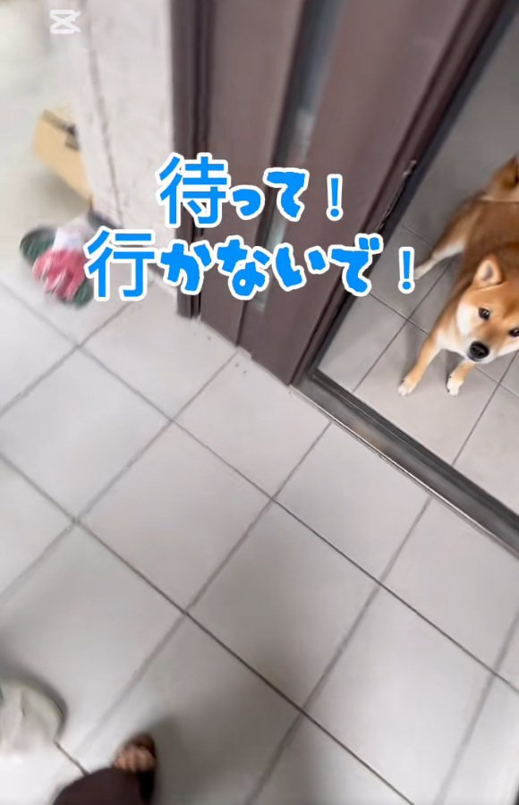 お兄ちゃんを見るなぎ君