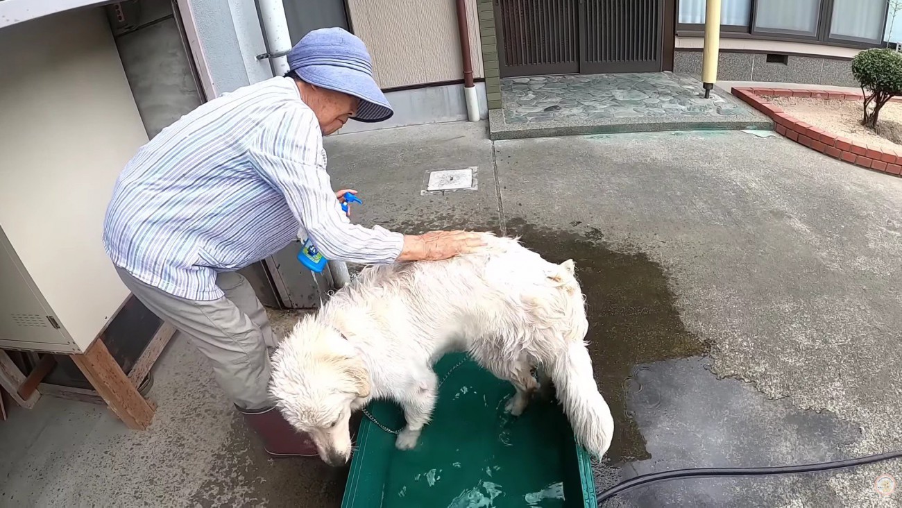 ガッシガッシと泡立てて…