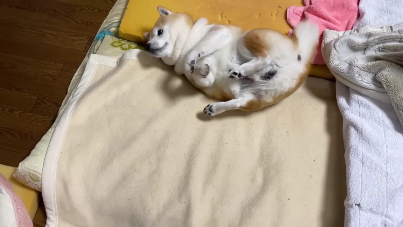 体勢を立て直すことに