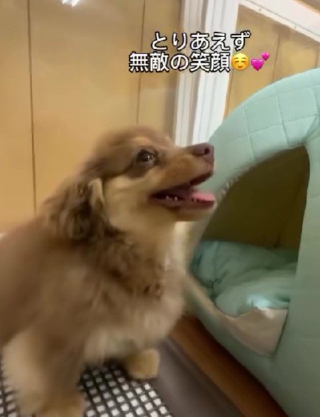 「見られてた…」