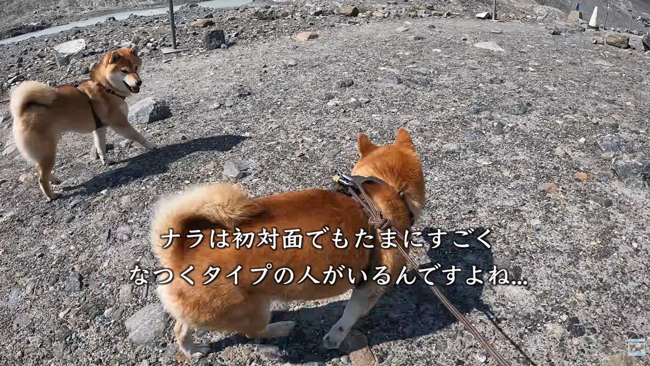 可愛がってもらえて大満足♪