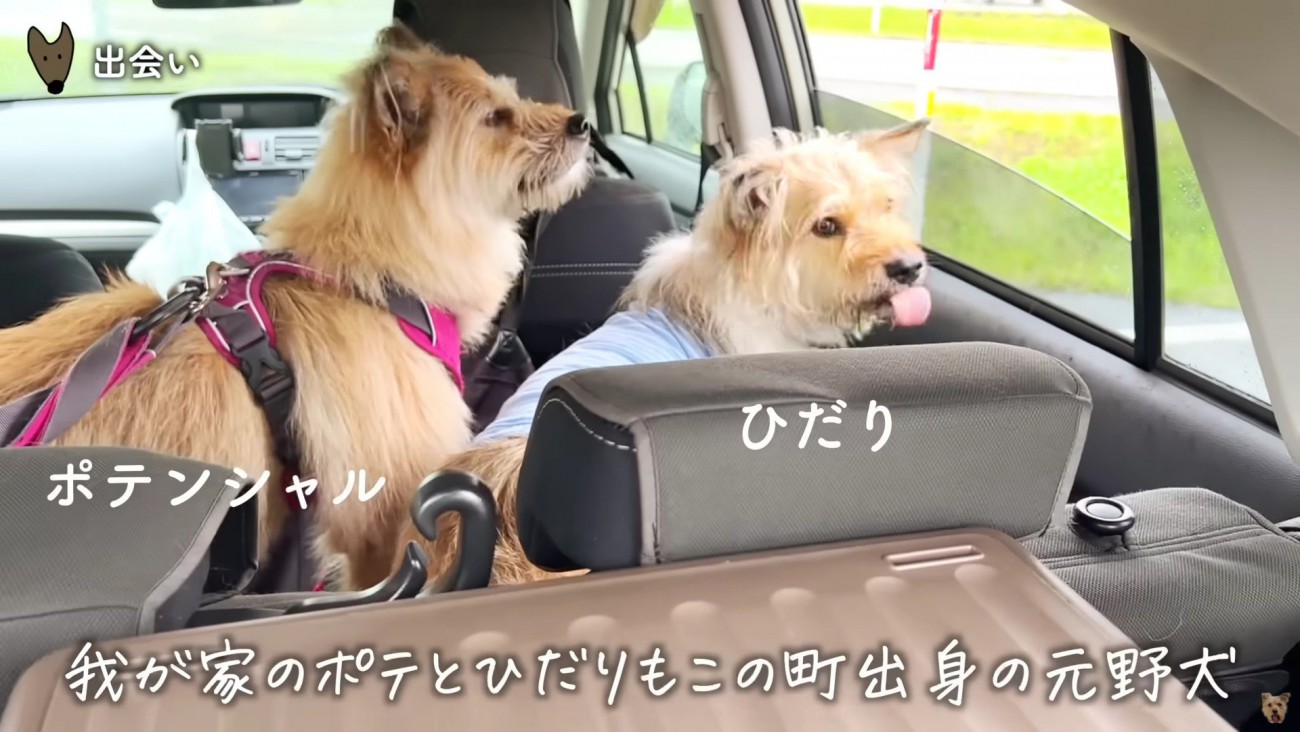 みんなでお迎えに行った