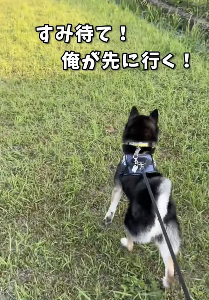 溢れるパパの男気