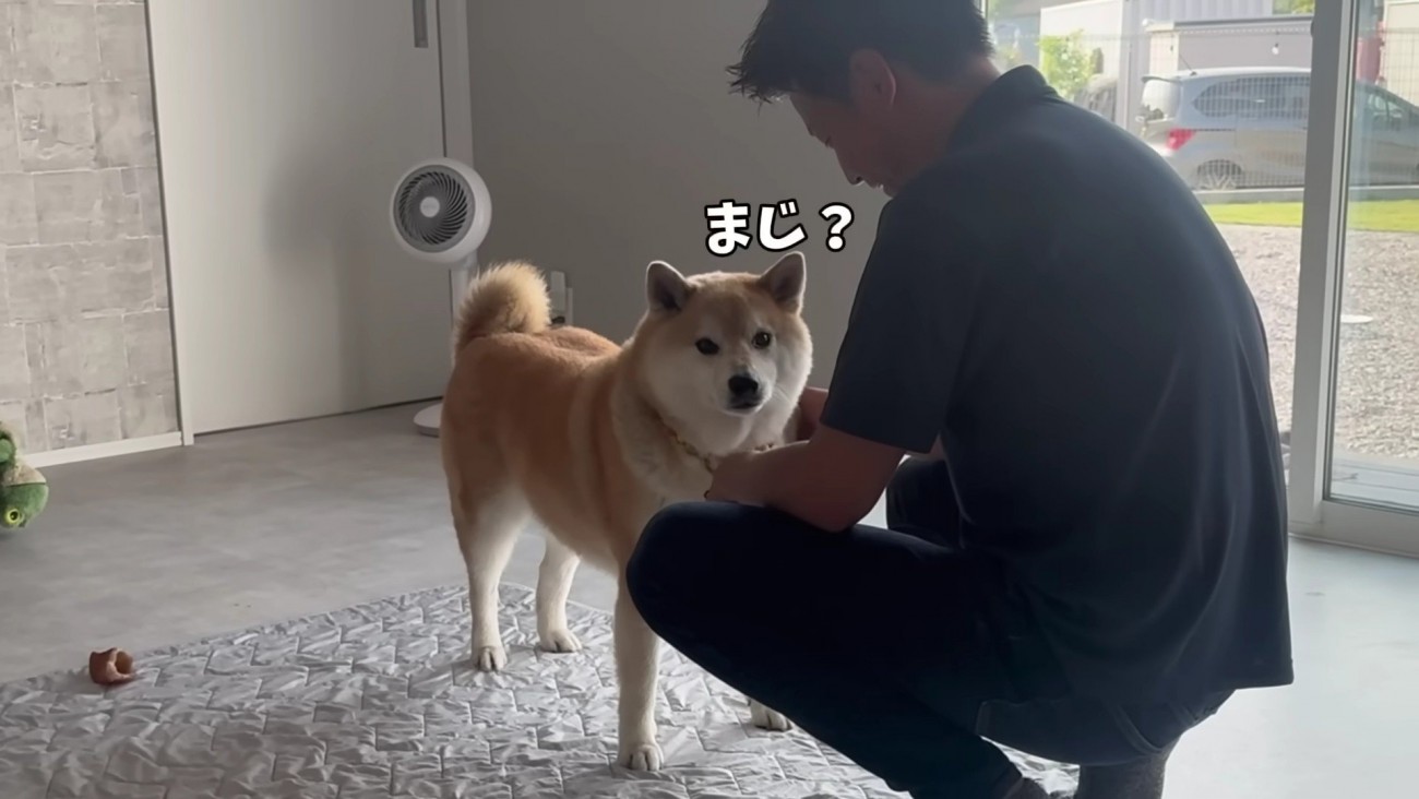 「軽トラ買うってコト？」