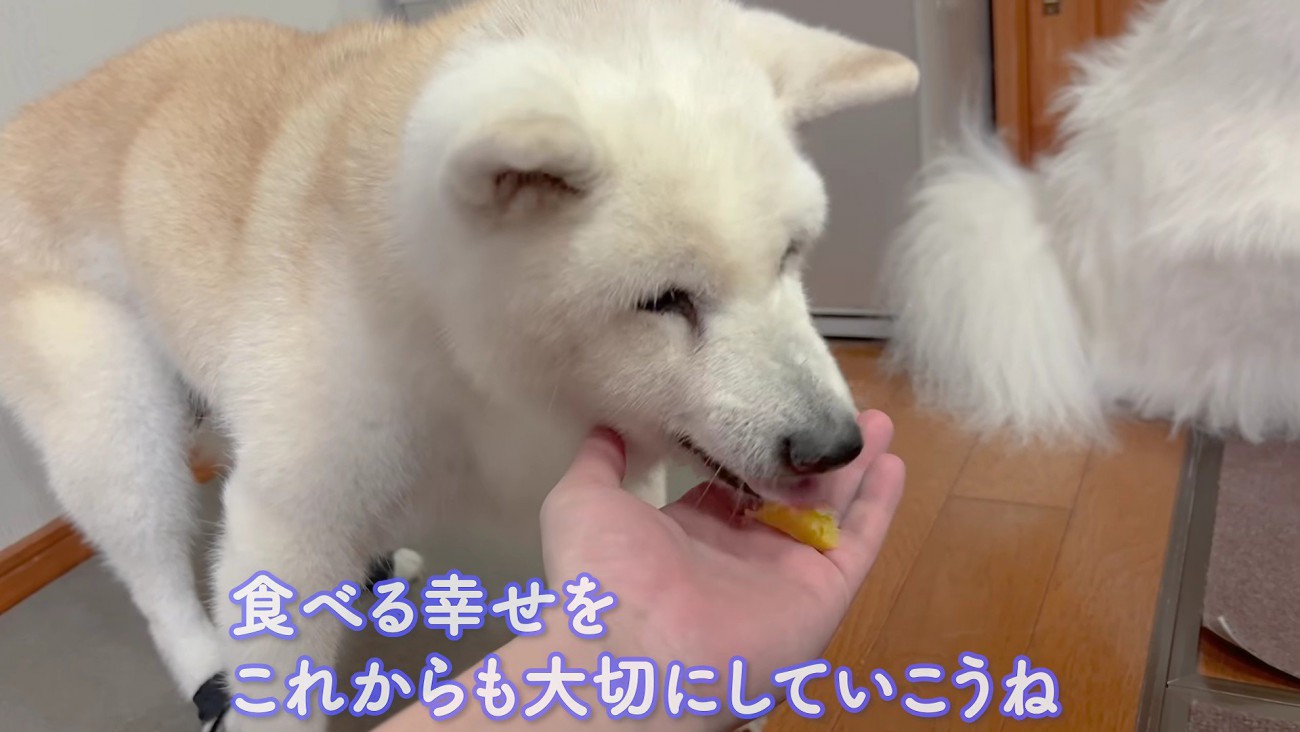 大喜びでパクパク