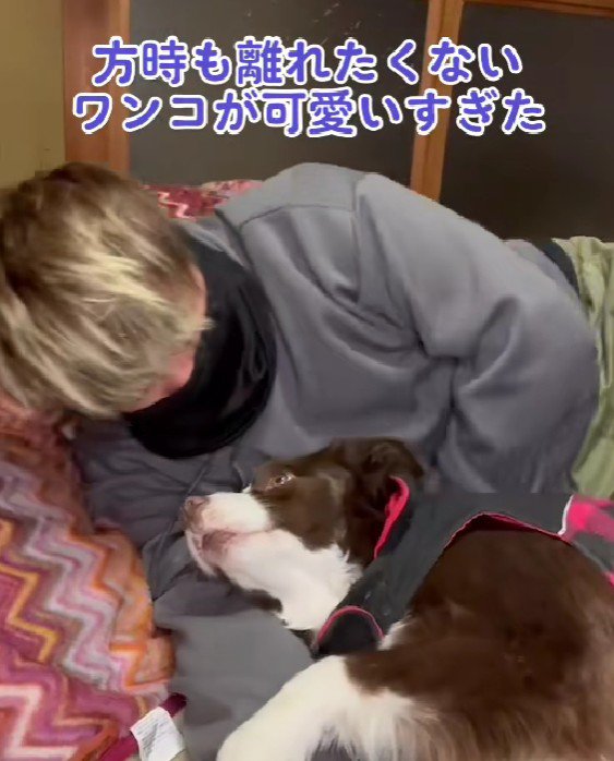 テールちゃんと添い寝