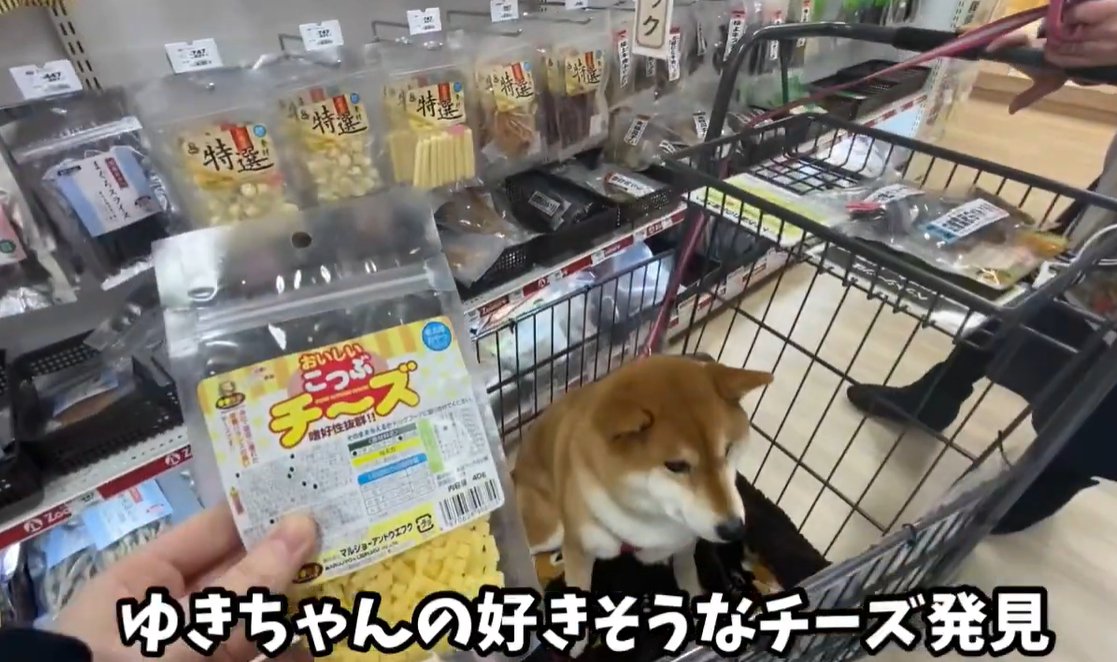 チーズのおやつ