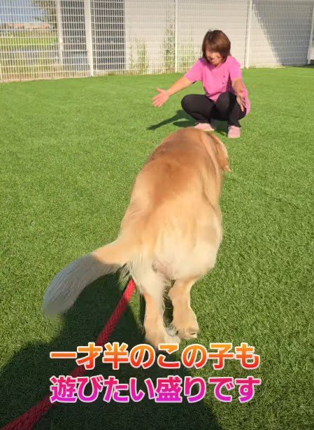 元気いっぱいのわんぱくさん