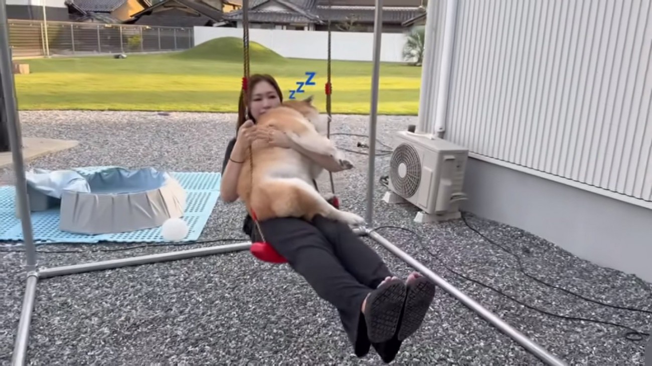 寝始めたおもちくん