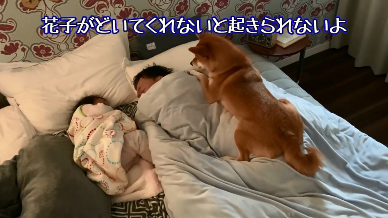 花子ちゃんを口実にするパパ