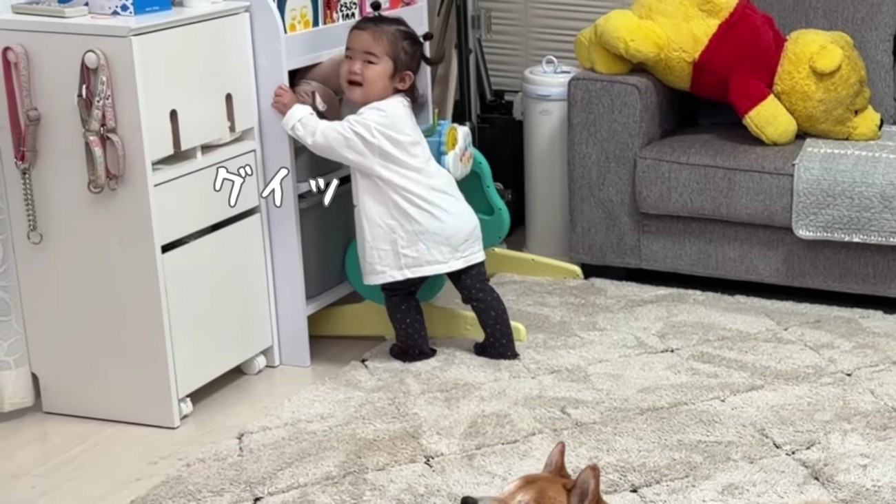 全部入りきらない！！