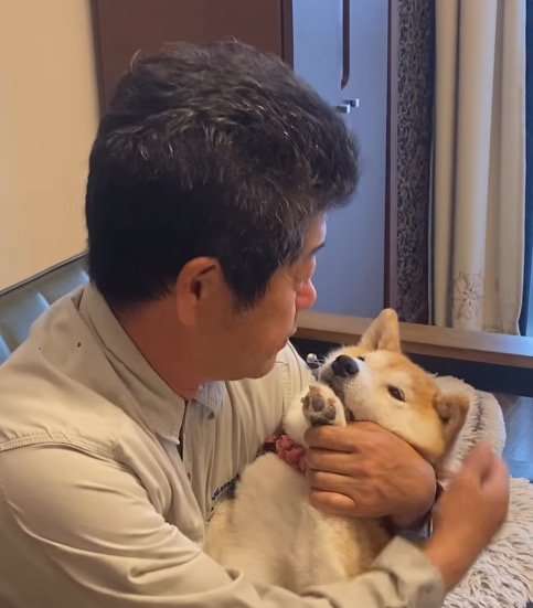 男性の顔を見つめる犬