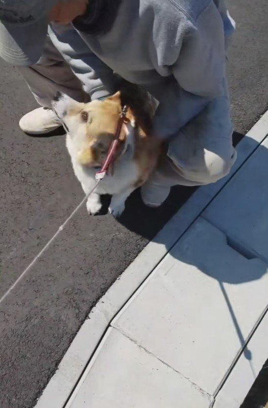 初対面とは思えない…♡