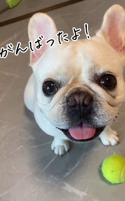 こんなに綺麗な目に！！