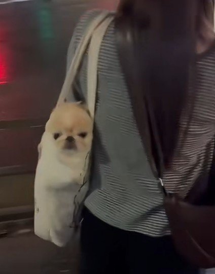 ミノムシさんみたい♡