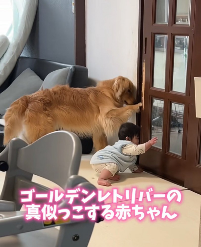 真似っこする男の子