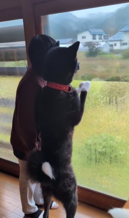 まるでトリックアート…