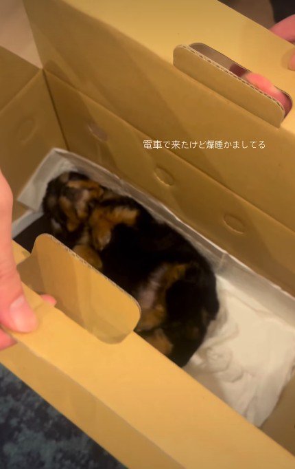 ぐっすり眠ってた！！