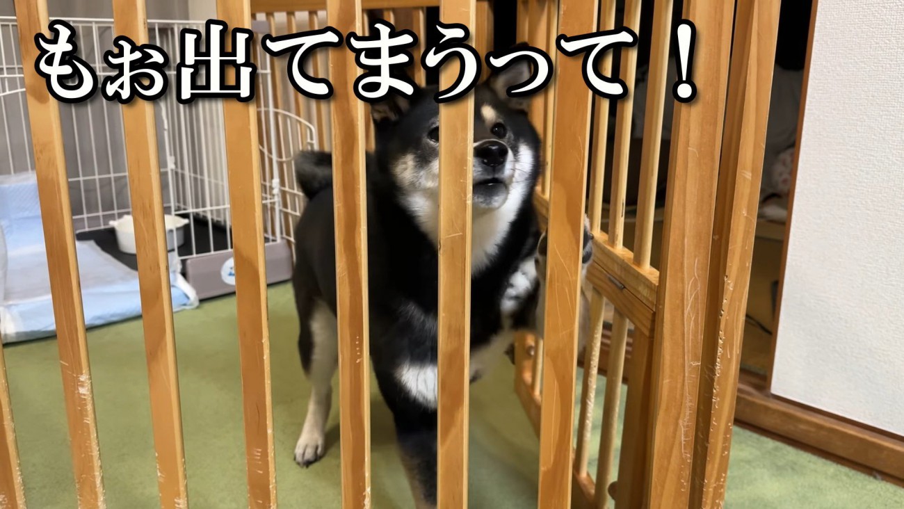全然寝かせてくれません！