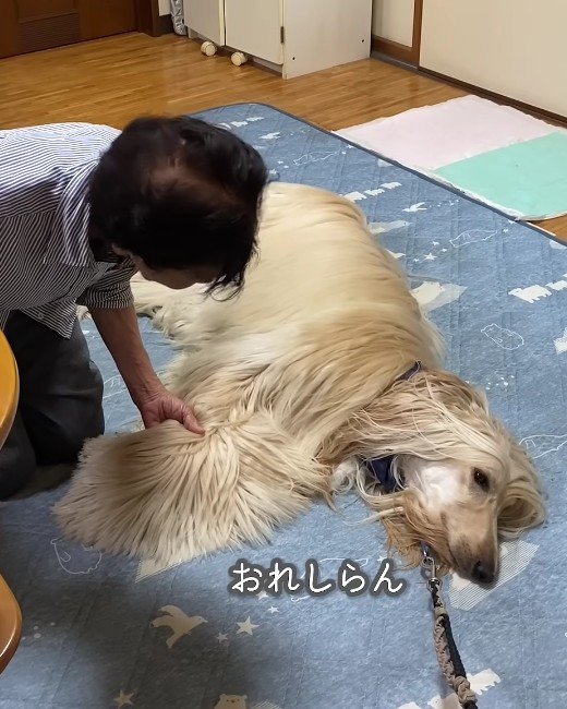 頑なに起き上がろうとしない