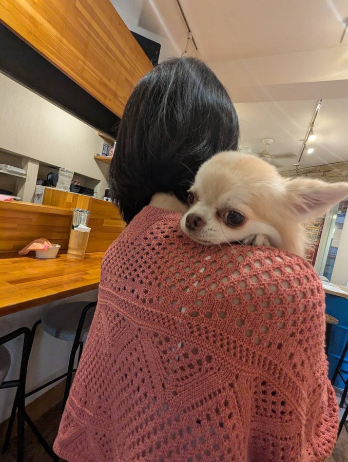 抱っこ
