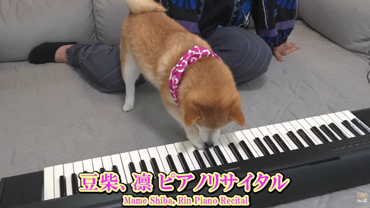 リサイタル開催！