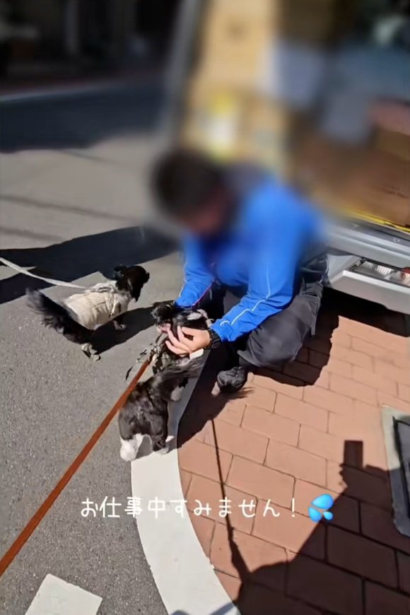 恐縮する飼い主さん