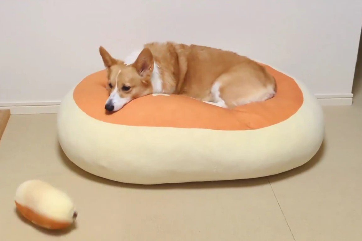 落ちちゃった…