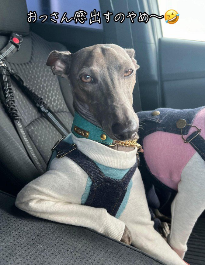 おっさんみたい！？