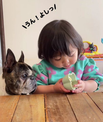 会話が成立してる…！！