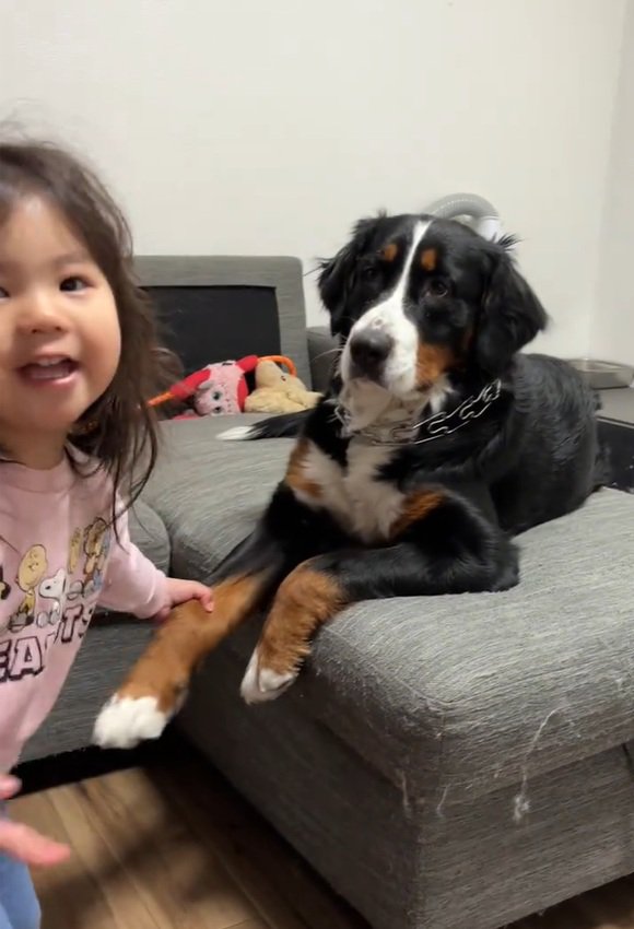 飼い主さんに訴える娘さん