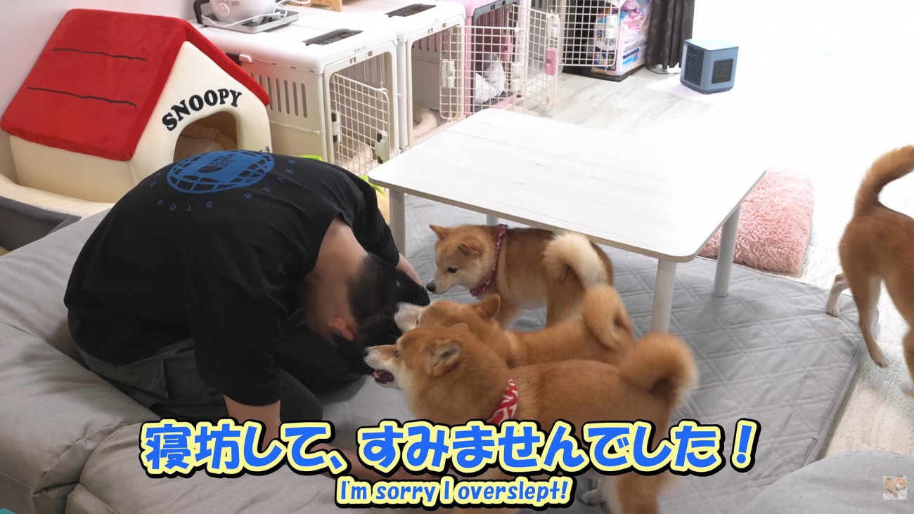 帰省が遅れたので土下座したら…