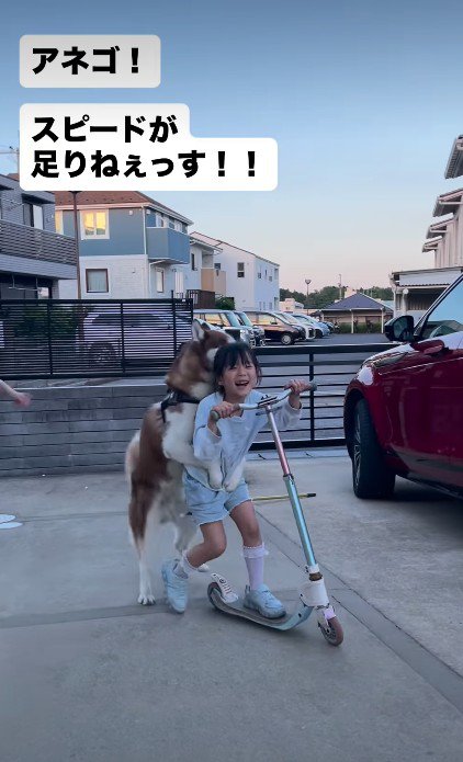とっても楽しそう♪