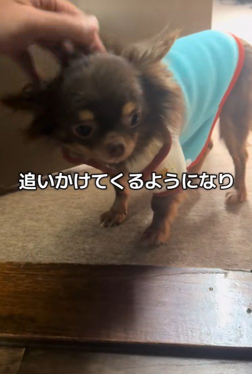 テープくんの変化9