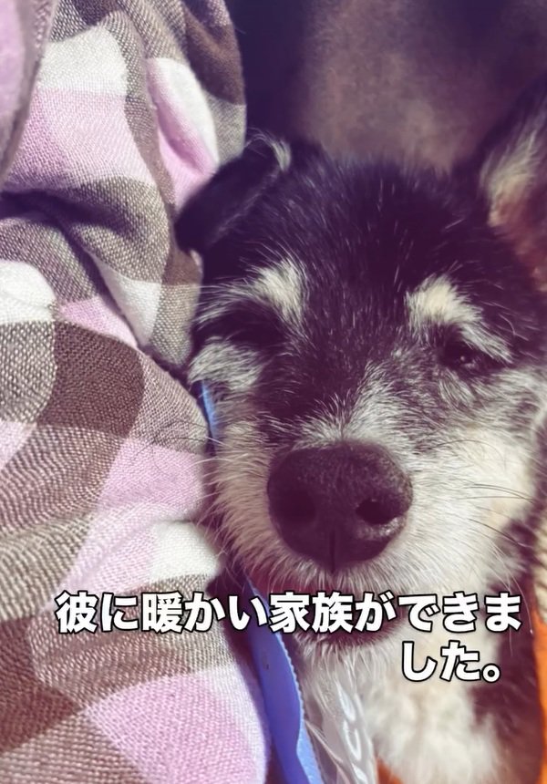 里親さんに引き取られたツナ君