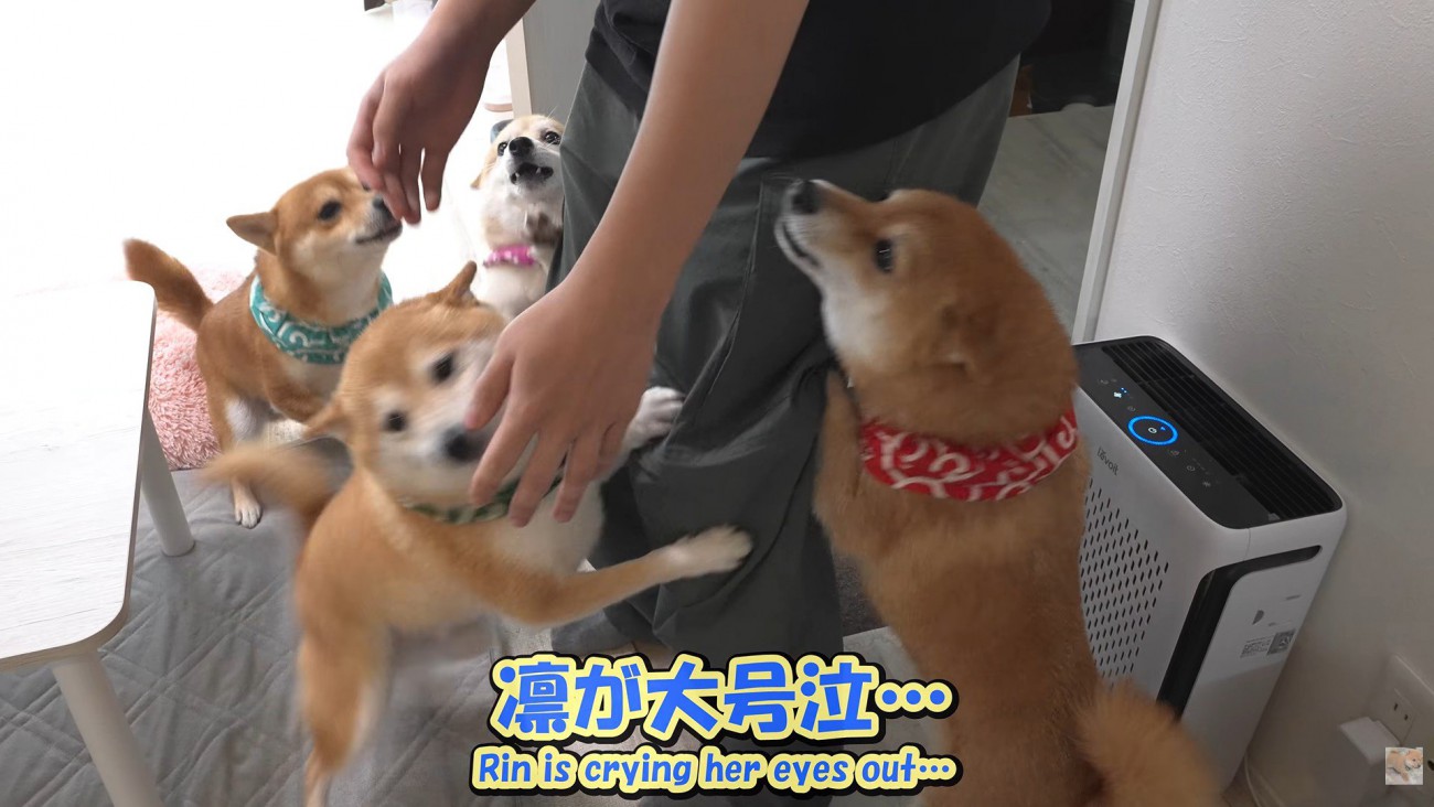 飛びついて熱烈大歓迎！