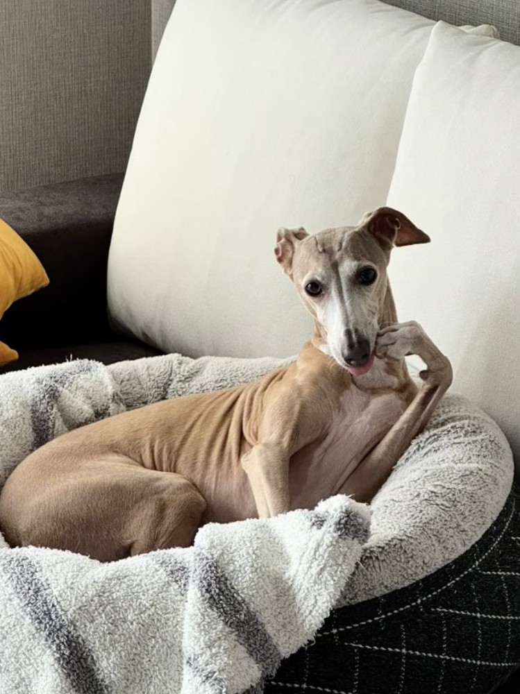 「リアル」な姿です