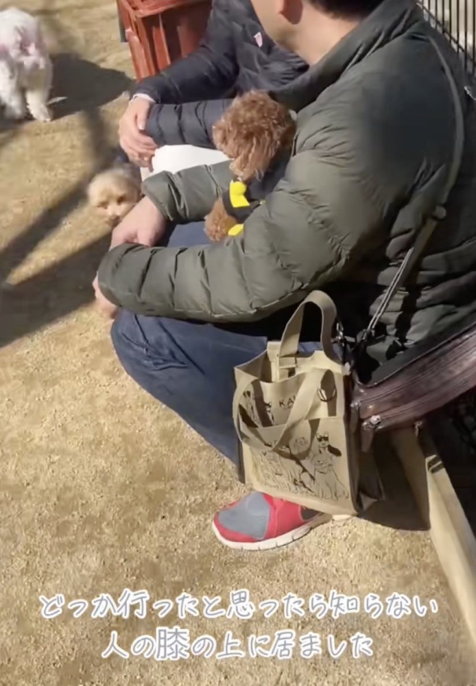 もはや寛いでる？