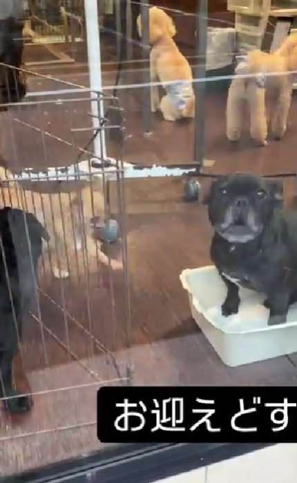 「待ってたよ！ママ！！」