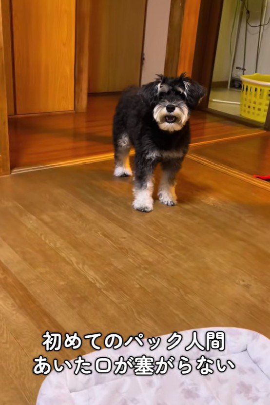 口をあんぐりと開けて…