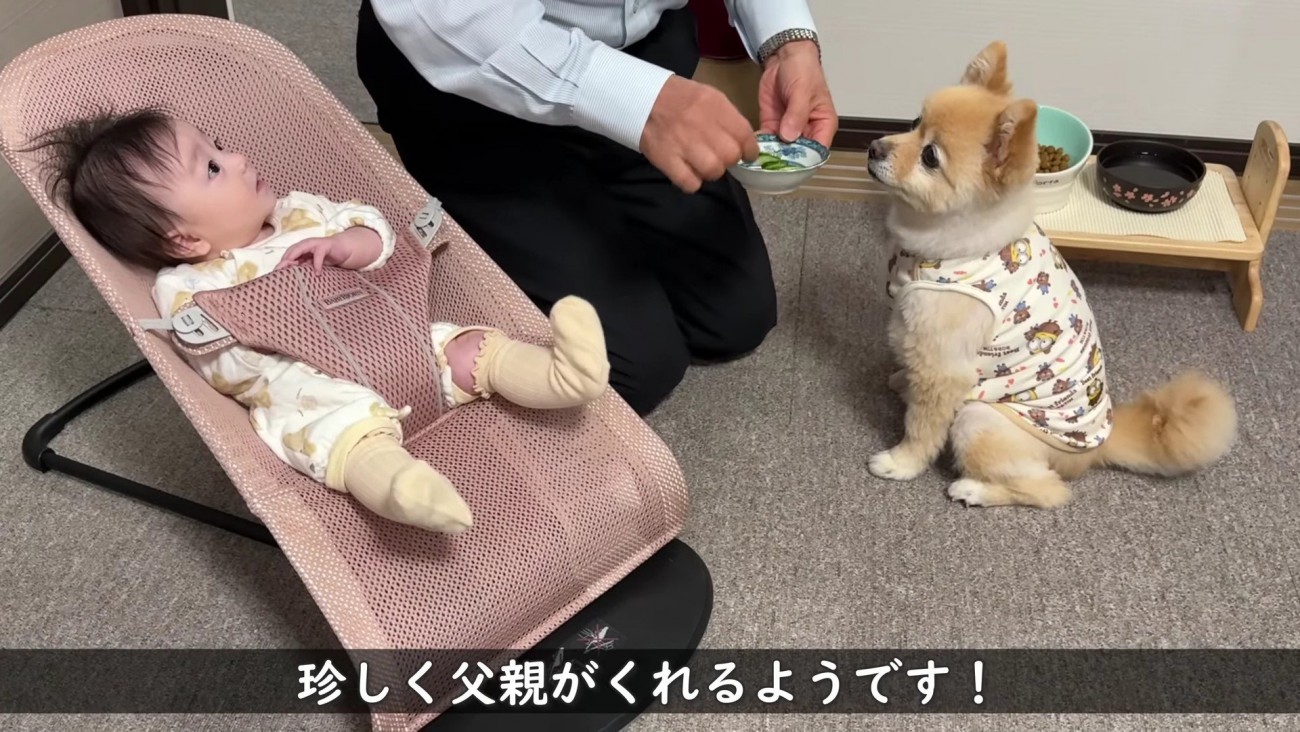 じいじにきゅうりをもらったよ