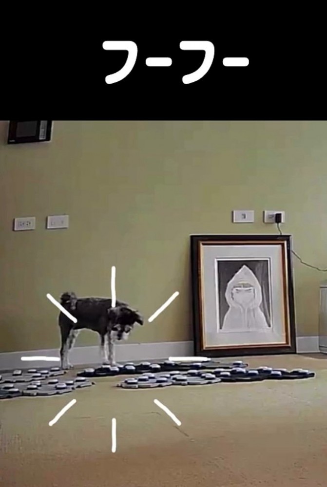 会話ボタンマットの上で「フーフー」ボタンを押す犬