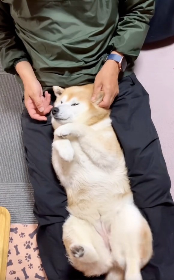 足が動くここちゃん